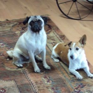 Meet your Posher, Jenny